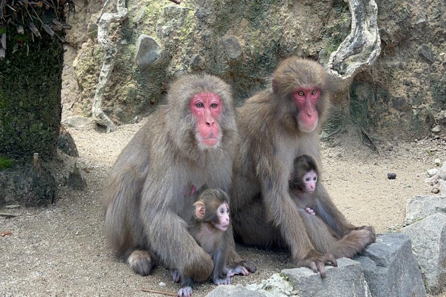News Image 1