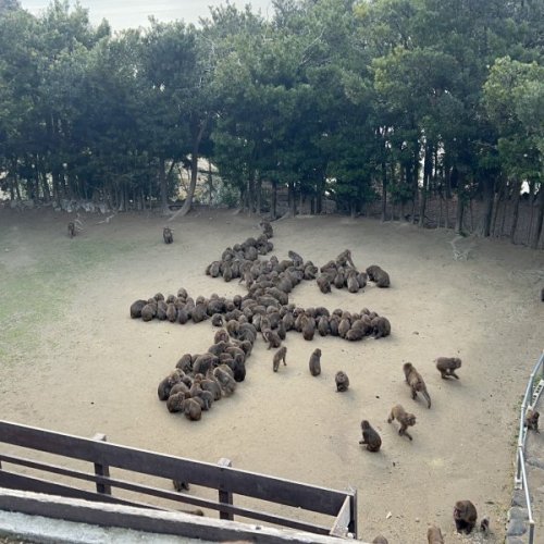 新年あけましておめでとうございます